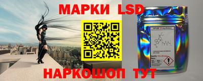 стафф Донецк