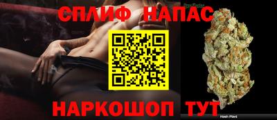 стафф Донецк